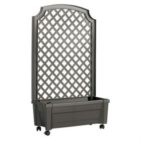 trIndoor/Outdoor Grey Polypropylene Self Watering Planter with Trellis on Wheels